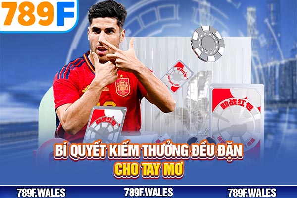 Bí quyết kiếm thưởng đều đặn cho tay mơ Bí quyết kiếm thưởng đều đặn cho tay mơ