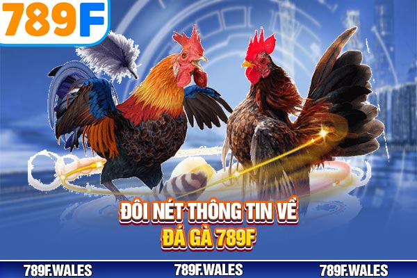 Đôi nét thông tin về đá gà 789F Đôi nét thông tin về đá gà 789F