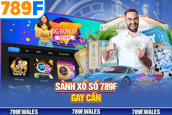 Sảnh xổ số 789F gay cấn Sảnh xổ số 789F gay cấn